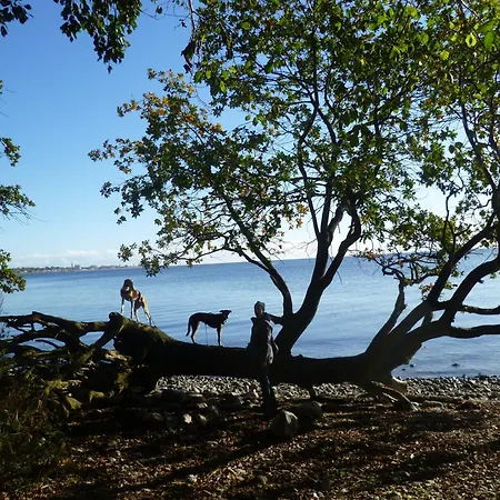 Prázdninový dům Traumhaus Meerzeit In Sierksdorf, Super Meerblick, Sauna, Kaminofen, Whirlwanne